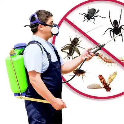 pest control La Belle